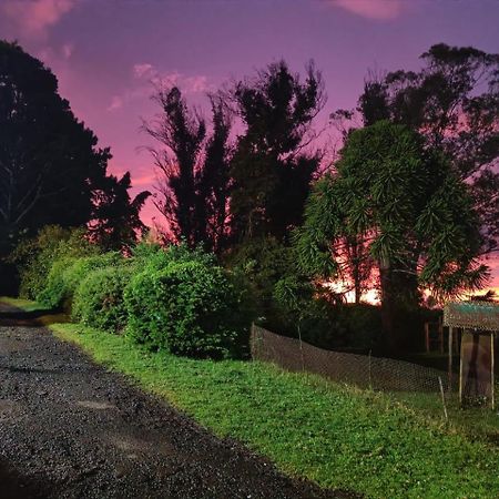 Natures Retreat Hotels And Resorts Ooty Ngoại thất bức ảnh