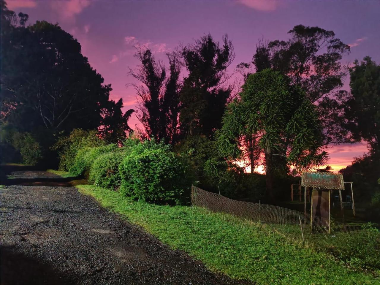 Natures Retreat Hotels And Resorts Ooty Ngoại thất bức ảnh